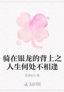 騎在銀龍的背上之人生何處不相逢