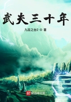 武夫三十年在线阅读