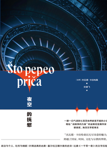 夜空的抚慰在线阅读