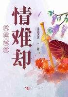 风起缘至情难却