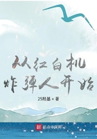 從紅白機炸彈人開始在線閱讀