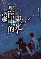 你是黑暗中的一束光在线阅读