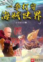 一拳打穿海贼世界