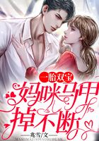 一胎双宝:妈咪马甲掉不断在线阅读