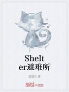 Shelter避难所在线阅读