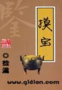 摸寶
