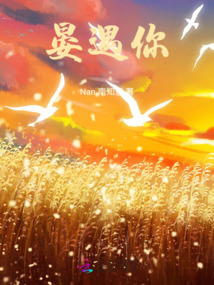 晏遇你