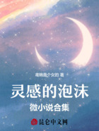 灵感的泡沫:微小说合集在线阅读