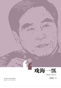 戲海一瓢