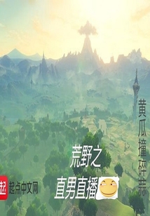 荒野之直男直播