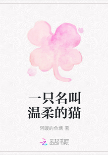 一只名叫溫柔的貓