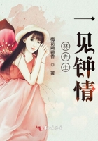 林先生一見鐘情在線閱讀