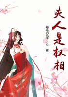 夫人是權(quán)相在線(xiàn)閱讀