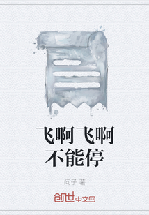 飞啊飞啊不能停
