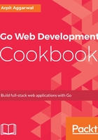 Go Web Development Cookbook