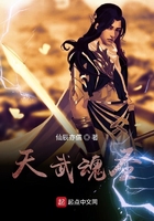 天武魂圣在线阅读