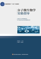 分子微生物学实验指导在线阅读