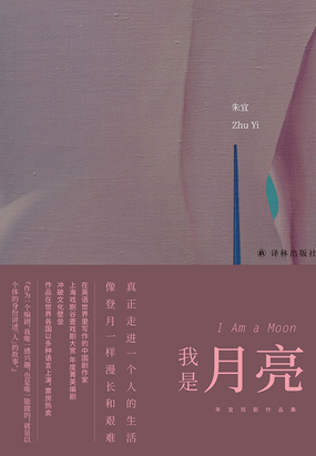 我是月亮在线阅读
