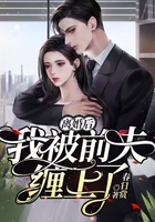 离婚后,我被前夫缠上了