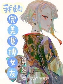 我的完美賽博女友