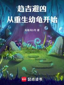 趨吉避兇，從重生幼龜開始