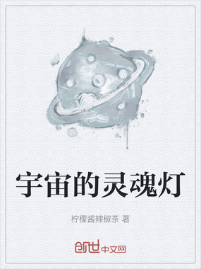 宇宙的灵魂灯在线阅读