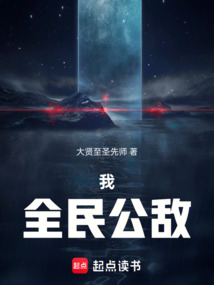 我，全民公敌（王庆）在线阅读