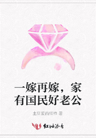一嫁再嫁，家有國民好老公在線閱讀