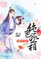 盛世寵臣之絕色丞相在線閱讀
