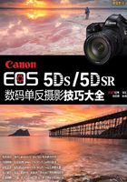 Canon EOS 5DS5DSR 数码单反摄影技巧大全在线阅读