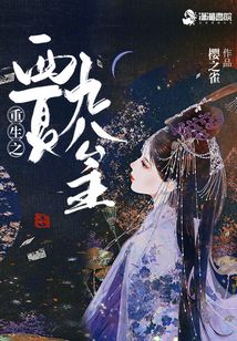重生之西夏九公主