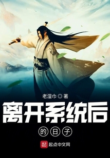 离开系统后的日子 cover