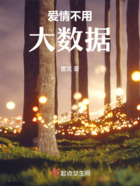 爱情不用大数据在线阅读