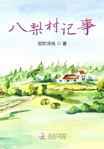 八梨村記事