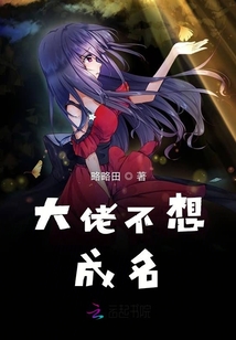 大佬不想成名