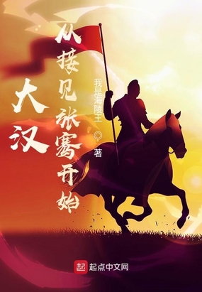 大汉从接见张骞开始在线阅读