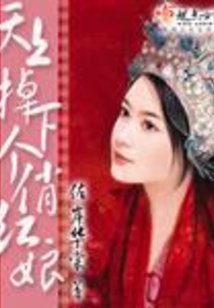 天上掉下个俏红娘