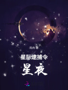 星际逮捕令：星夜