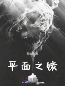 平面之鏡