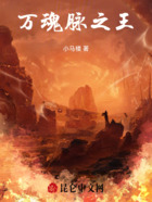 万魂脉之王在线阅读