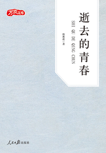 逝去的青春