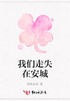 我們走失在安城在線閱讀