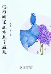 貓咪哪里逃本兔子在此