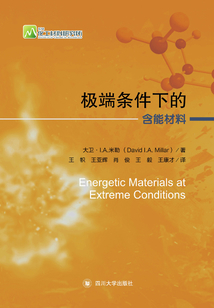 極端條件下的含能材料（Energetic Materials at Extreme Conditions）