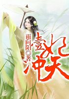 壹妃沖天在線閱讀