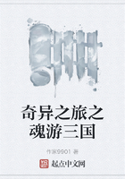 奇異之旅之魂游三國(guó)在線閱讀