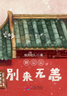 柳公公，別來無恙