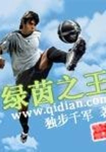 [体育运动]【补档】《绿茵之王》（校对全本）作者：独步千军【TXT】【三石校对】