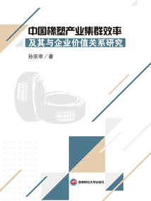 中国橡塑产业集群效率及其与企业价值关系研究