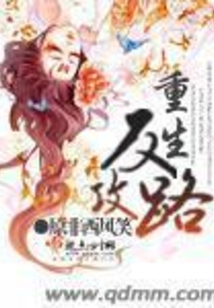重生反攻路